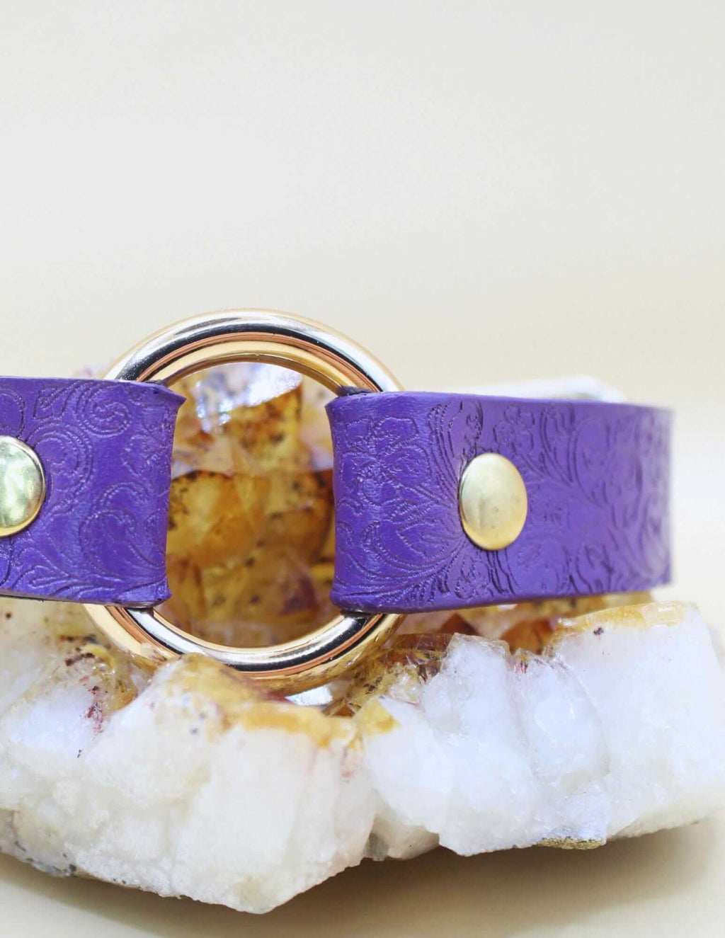 Submissive Collar Purple O-Ring | Choker Collar | Submissive Jewelry